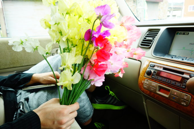 車内で手に持っているスイートピーの花束