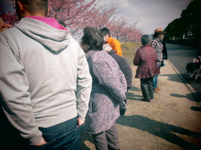 お年寄りと一緒に見る桜